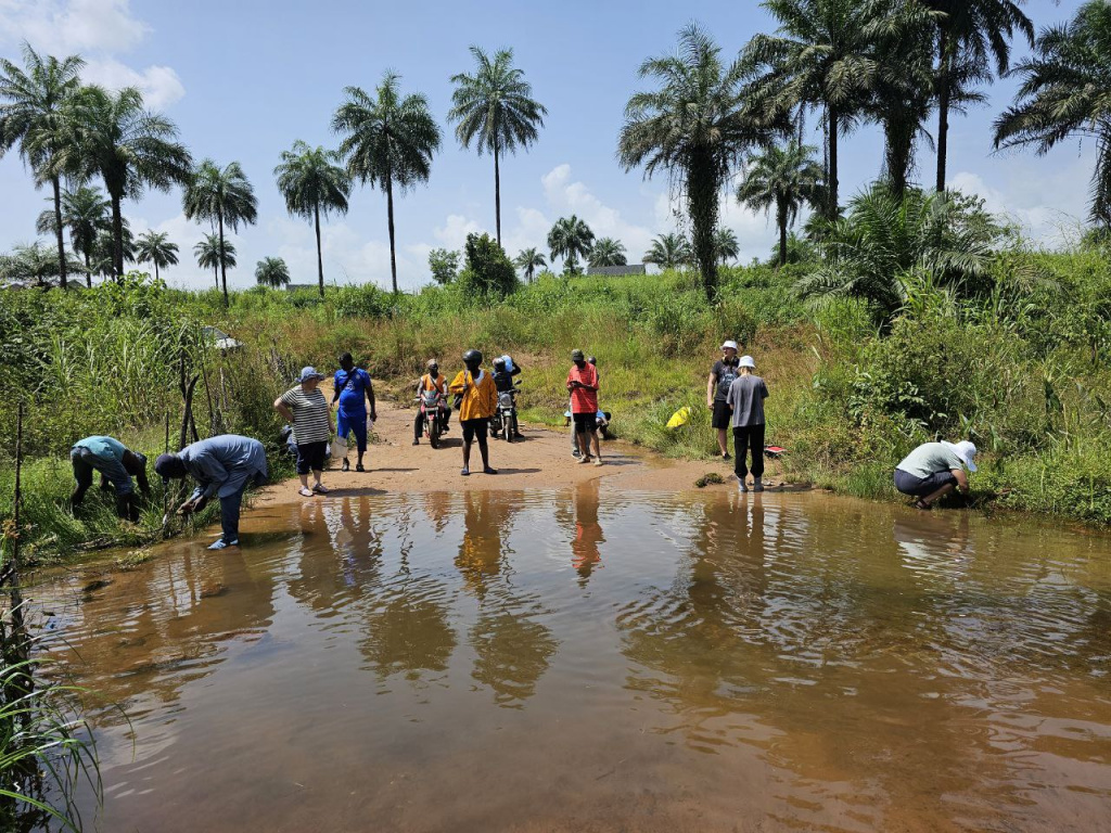 photo_2024-11-10_12-07-30.jpg photo_2024-11-10_12-07-30.jpg