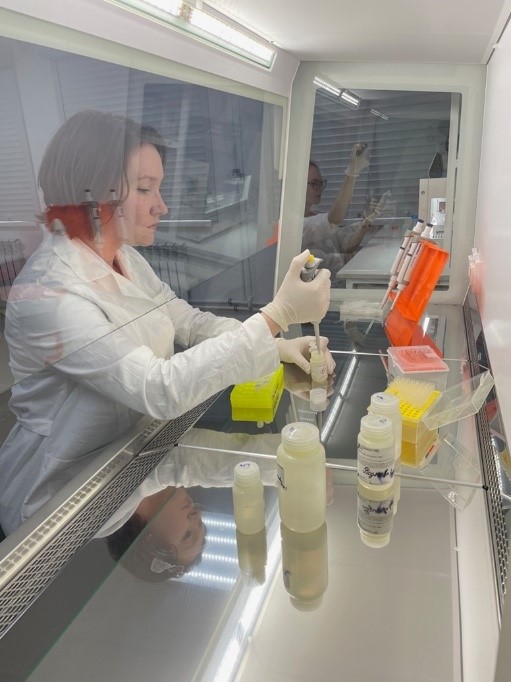 Бокс микробиологической безопасности БМБ-II.jpg